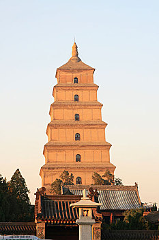 soi cau mjsa