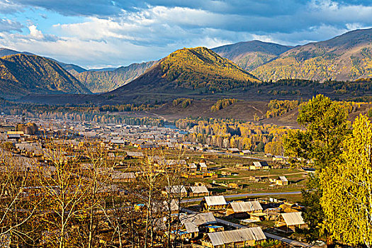 soi cau lo bach thu rong bach kim