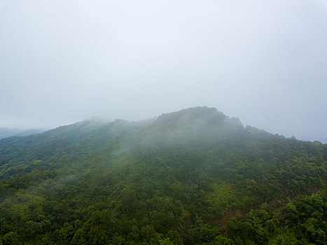 chốt so gio vang