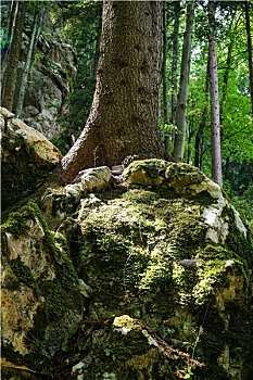 thống kê xổ số vĩnh long