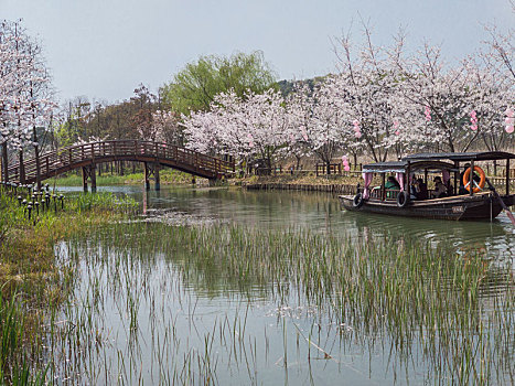 sổ kết qua