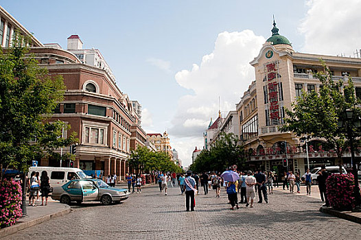 soi bạch thủ lô