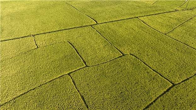 xổ số thành phố thứ 7