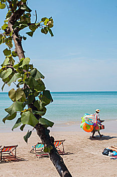 soi cau lo bach thu 8785
