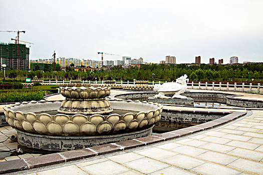 soi cau la