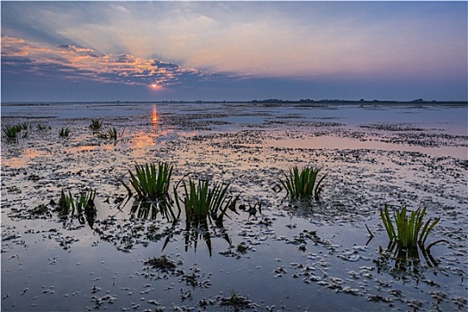 lô gan miền bắc hôm nay