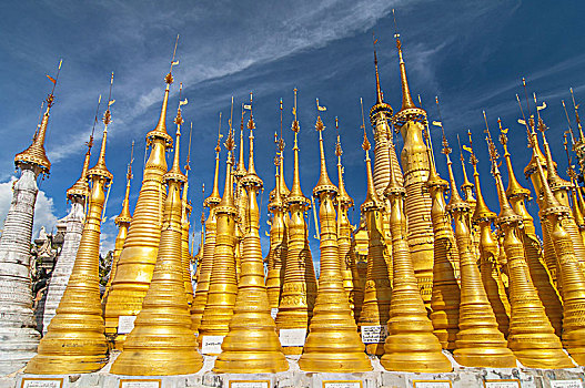 soi cau win