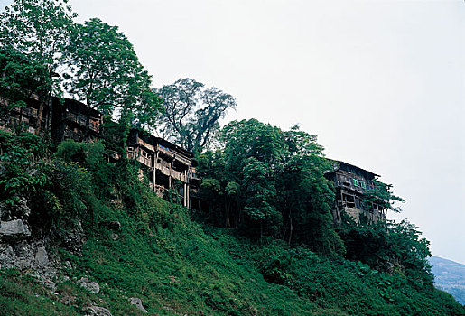 soi cau lo bach thu 3 ngay