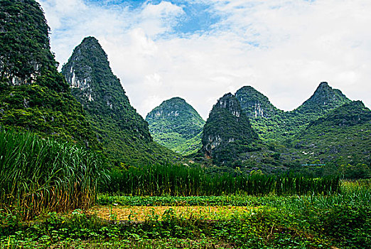 xo so ha noi
