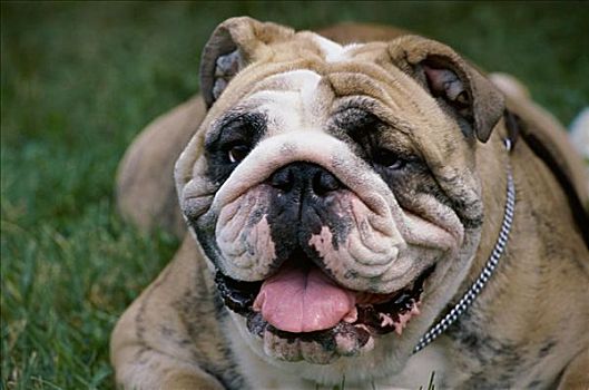 dự đoán kết quả xổ số miền bắc đại phát