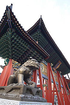 dự đoán