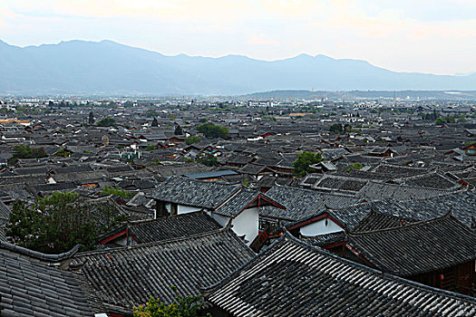 soi cau tuan