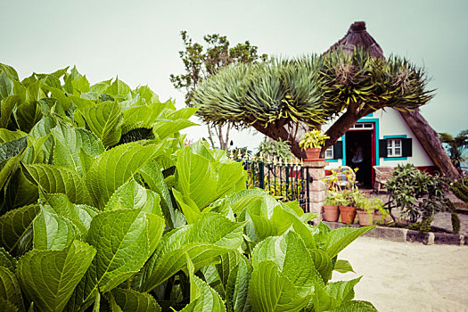 dự đoán đài miền bắc