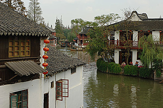 soi cau bach thu de