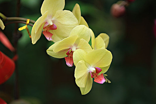 kết quả xổ số