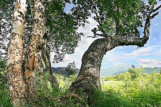 dàn đề siêu chuẩn