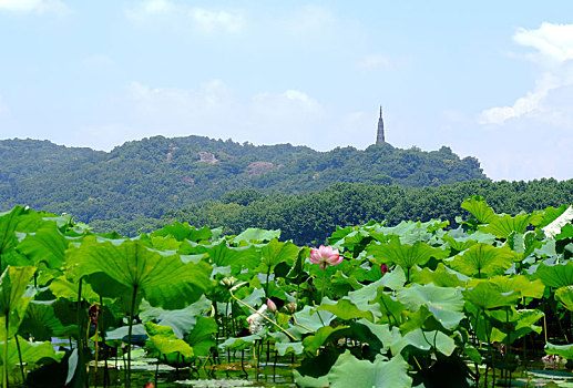 số đề trực tuyến