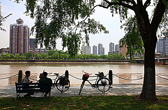 cầu bạch thủ lô