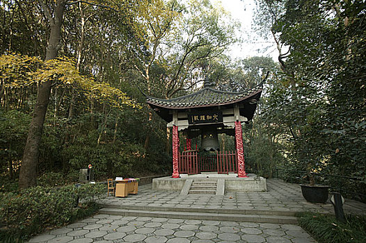 soi cau chuan