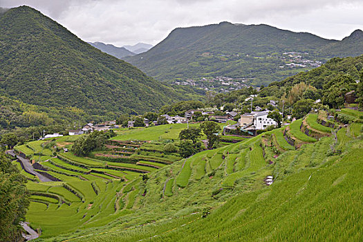lô bạch thu khung 2 ngày
