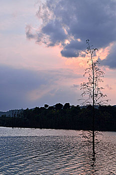 quay thu