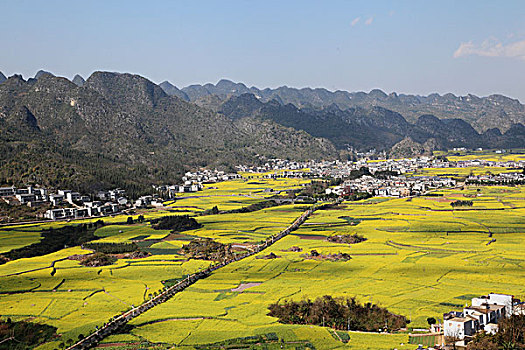 quay thử xổ số thành phố