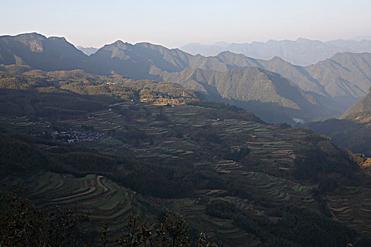 soi cau mien phi 2888