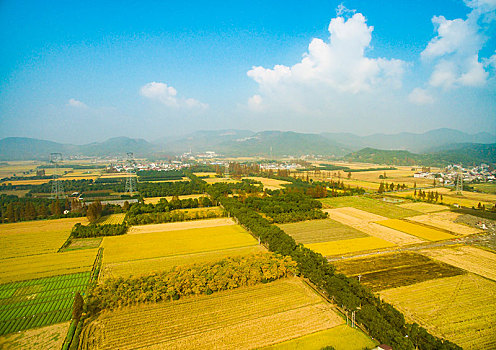 soi cầu 247