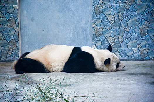 soi cầu lô ba miền