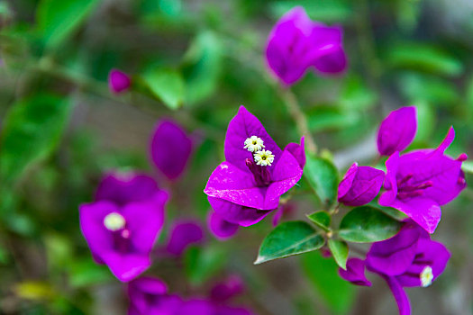 thống kê xổ số cần thơ