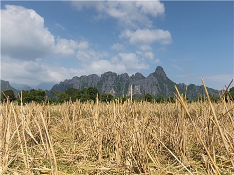 lô đề hôm nay