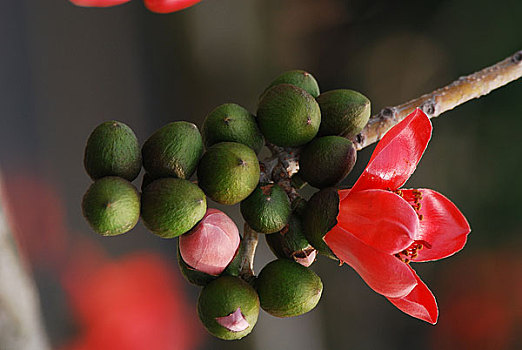 chốt số xsmb