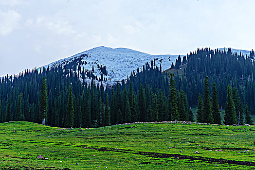 du doan hom nay