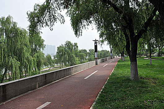soi cầu lô tô hôm nay