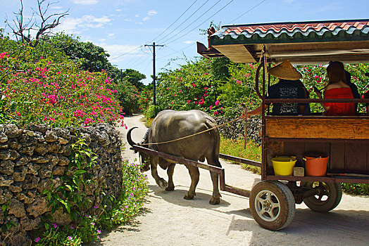xổ số miền nam thứ 3