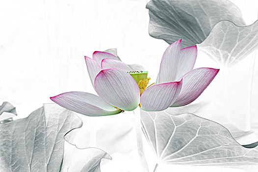 xo so mn minh ngoc