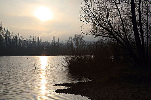 lôde88