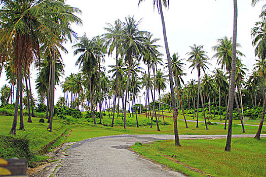 trực tiếp xsmb