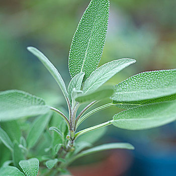 xổ số quảng bình hôm nay