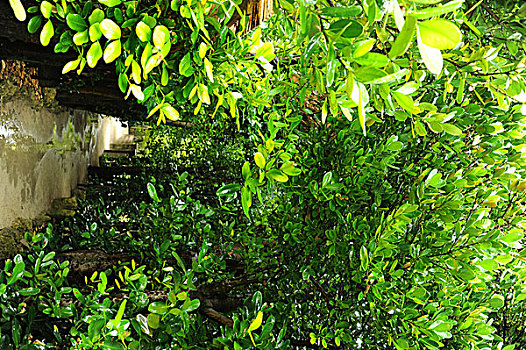xsmb ha noi
