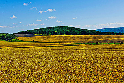 real estate germany