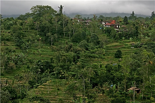 dự đoán cầu lô