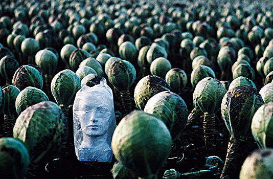 xskt bình dương