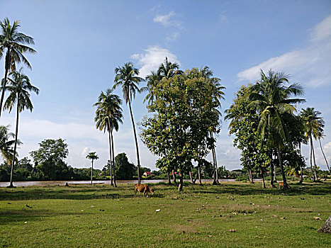 số xổ số miền bắc