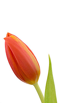 xổ số an giang tuần trước