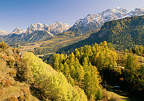 soi cau rong bach kim 2 nhay