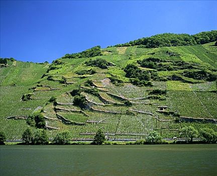 bach thu lo de mien bac hom nay
