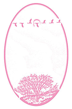 lô khung 5 ngày