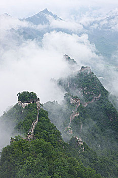 bạch thủ miền bắc