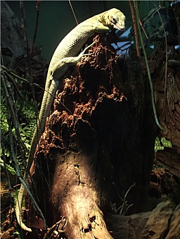 cách đánh lô chuẩn